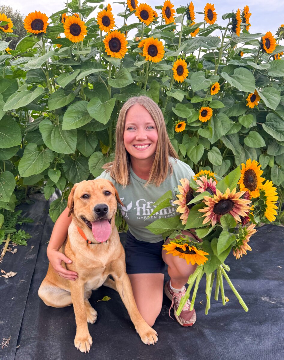 Alexis with Marvin and an armful of sunflowers at Flower Girl Farm